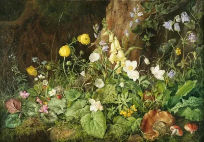 Wildflowers and Mushrooms in a Woodland Setting