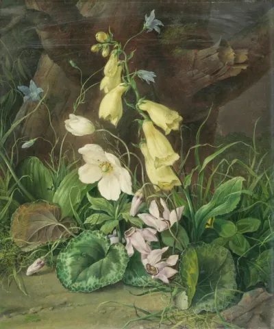 Wildflowers at the Base of a Tree