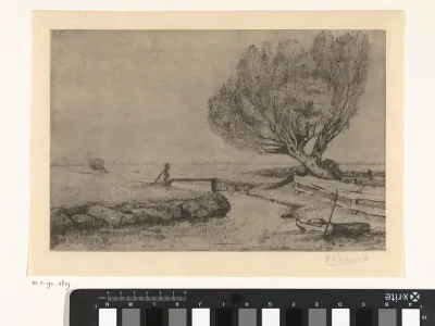 Wilgeboom bij een sloot