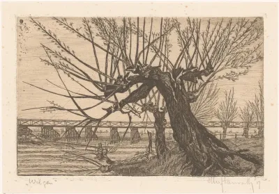 Wilgen
