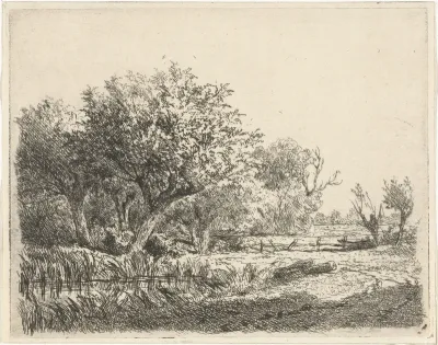 Wilgen bij een poel
