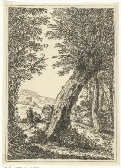 Wilgenboom