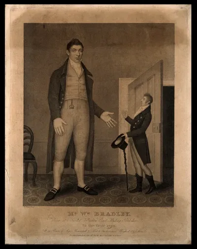William Bradley, a giant