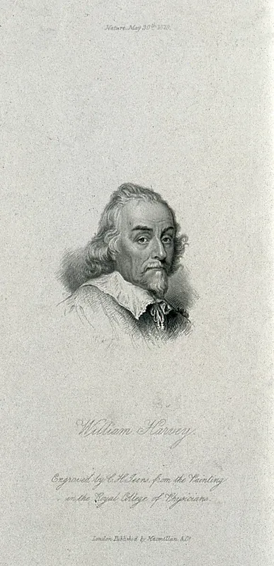 William Harvey. Engraving by C. H. Jeens, 1878, after W. von Bemmel, 1657