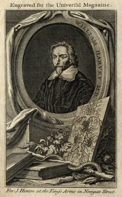 William Harvey. Line engraving after W. von Bemmel, 1657