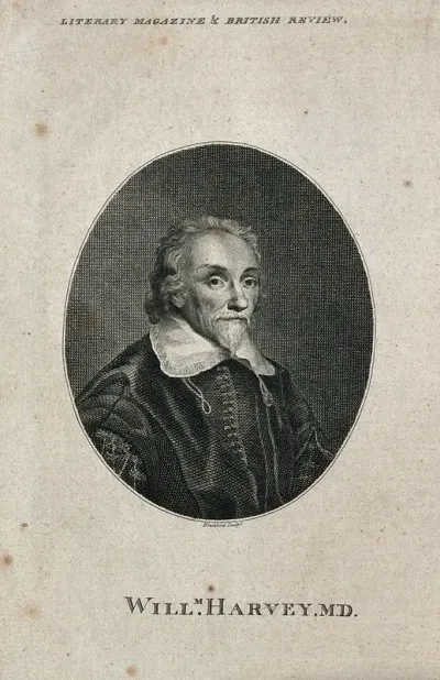 William Harvey. Line engraving by C. Blackberd, 1790, after W. von Bemmel, 1657