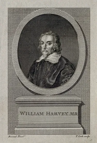 William Harvey. Line engraving by J. Caldwall, 1799, after C. Johnson