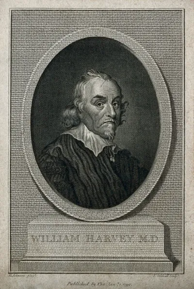 William Harvey. Line engraving by T. Cook