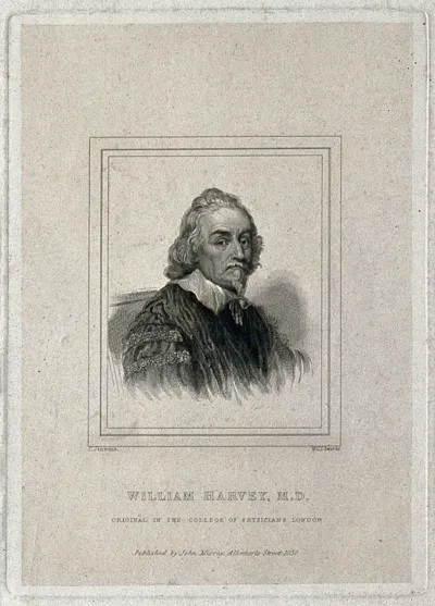 William Harvey. Line engraving by W. C. Edwards, 1830