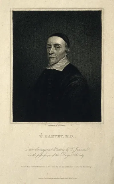 William Harvey. Stipple engraving by E. Scriven after C. Janssen