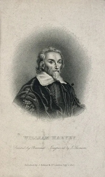 William Harvey. Stipple engraving by J. Thomson, 1823, after W. von Bemmel, 1657