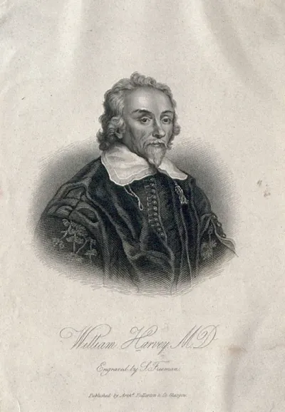 William Harvey. Stipple engraving by S. Freeman after W. von Bemmel, 1657
