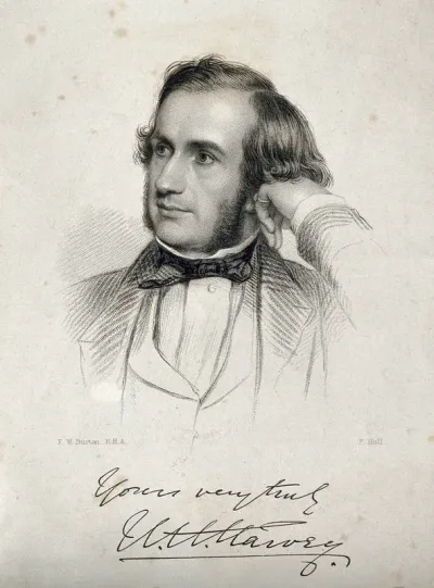 William Henry Harvey
