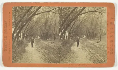 Willow Road, Lanesville, Mass.