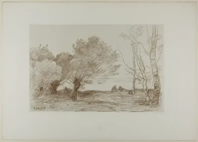 Willows and White Poplars