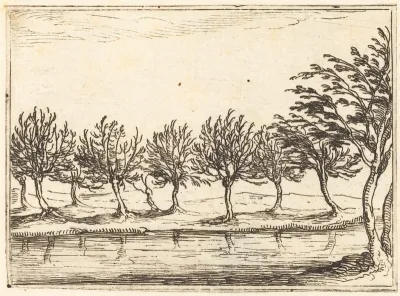 Willows by the Water's Edge