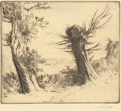 Willows (Les saules)