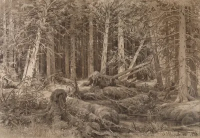 Wind Fallen Trees