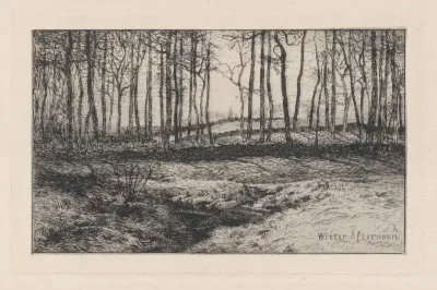 Winter Afternoon