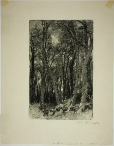 Winter: Bas-Bréau