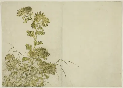 Winter Flowers: Chrysanthemums, from the book "Mirror of Beautiful Women of the Pleasure Quarters (Seiro bijin awase sugata kagami)," vol. 1