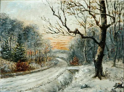 Winter forest scenery.