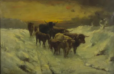 Winter in the Highlands
