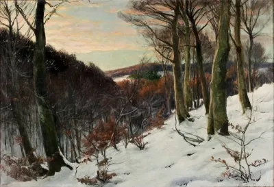 Winter landscape with snow.