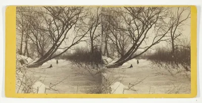 Winter Lane in the Country