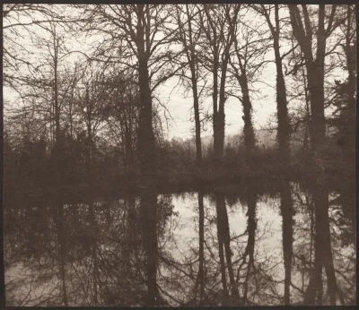 Winter Trees Reflected in a Pond