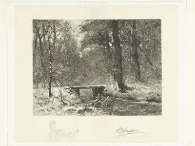 Wintergezicht in het Haagse bos