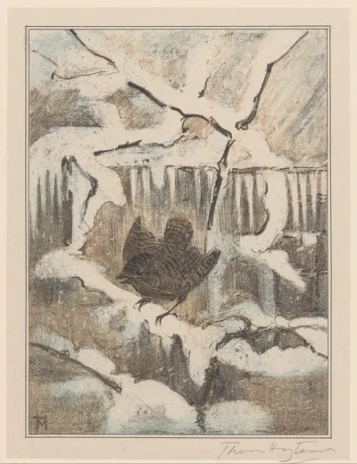 Winterkoninkje op besneeuwde tak