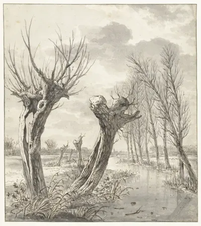 Winterlandschap met knotwilgen langs een bevroren sloot