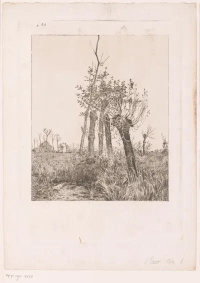 Winterlandschap met wilgen