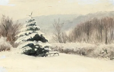 Wintry landscape with a bench by a pinetree.
