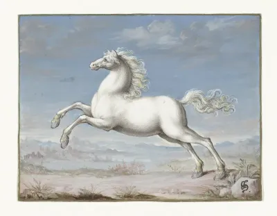 Wit paard