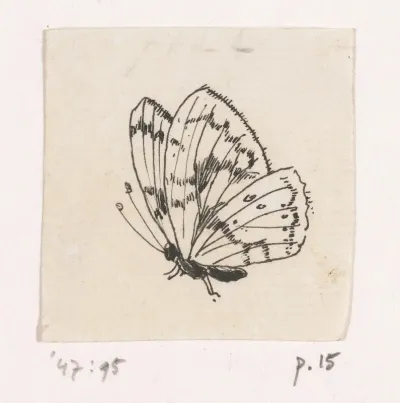 Witje