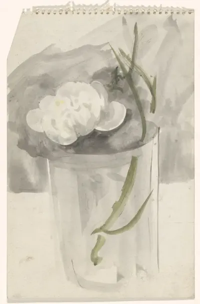 Witte bloem in een glas