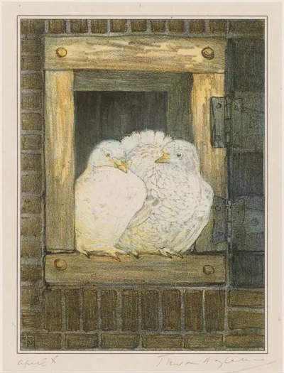 Witte duiven in venster