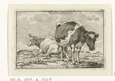 Witte en gevlekte koe