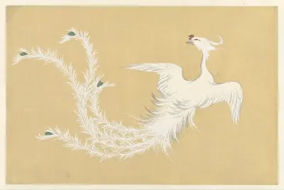 Witte feniks