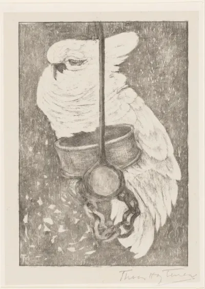 Witte kaketoe