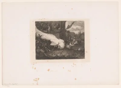 Witte pauw en ander gevogelte