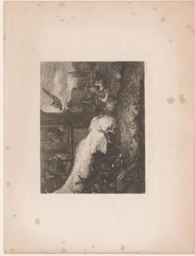 Witte pauw en ander gevogelte