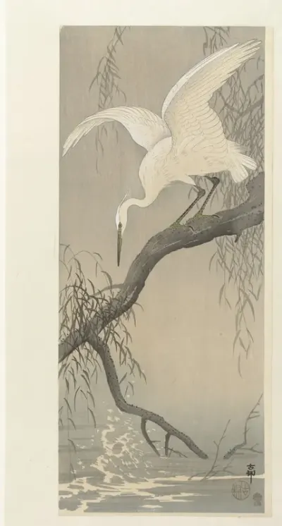 Witte reiger op boomtak