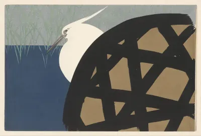 Witte reiger