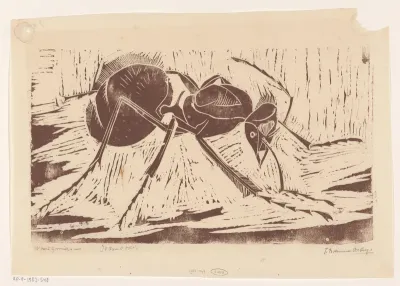 Woestijnmier