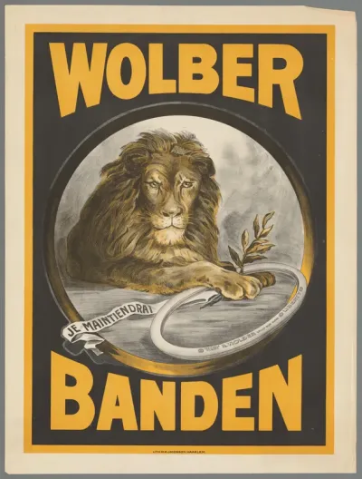 Wolber banden