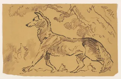 Wolf