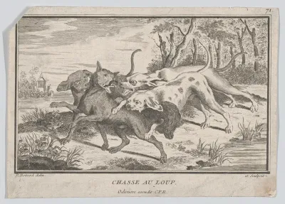 Wolf Hunt